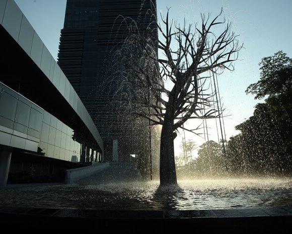 Rain Tree, 2010 Kim Jongku